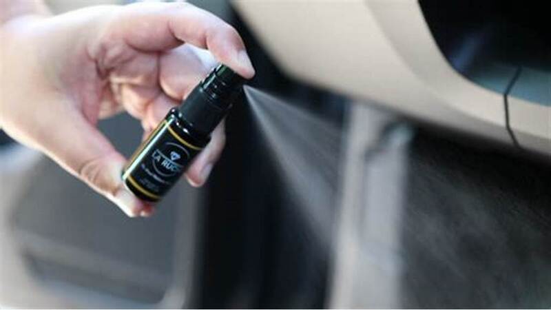 cách khử mùi nội thất ô tô